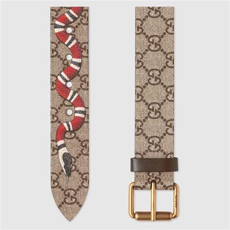 [QUESTION] Nina vs Darcy for this Gucci supreme snake belt